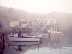 Quidi Vidi
